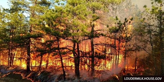 Loudermilk Supports Common-sense Policies to Protect our Lands and Citizens